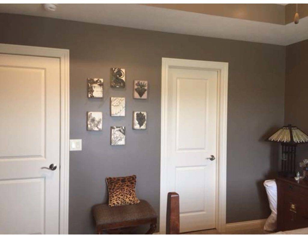 Barn Doors BEFORE